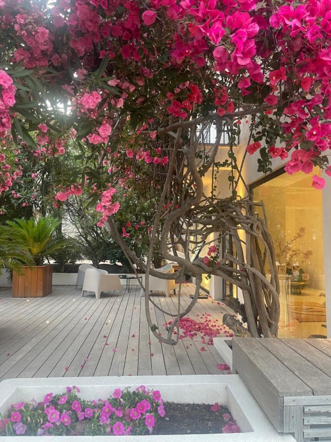 Hotel Le Mistral Porto-Vecchio  Ngoại thất bức ảnh