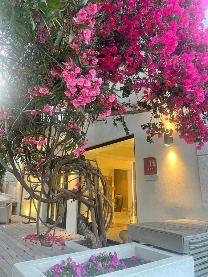 Hotel Le Mistral Porto-Vecchio  Ngoại thất bức ảnh