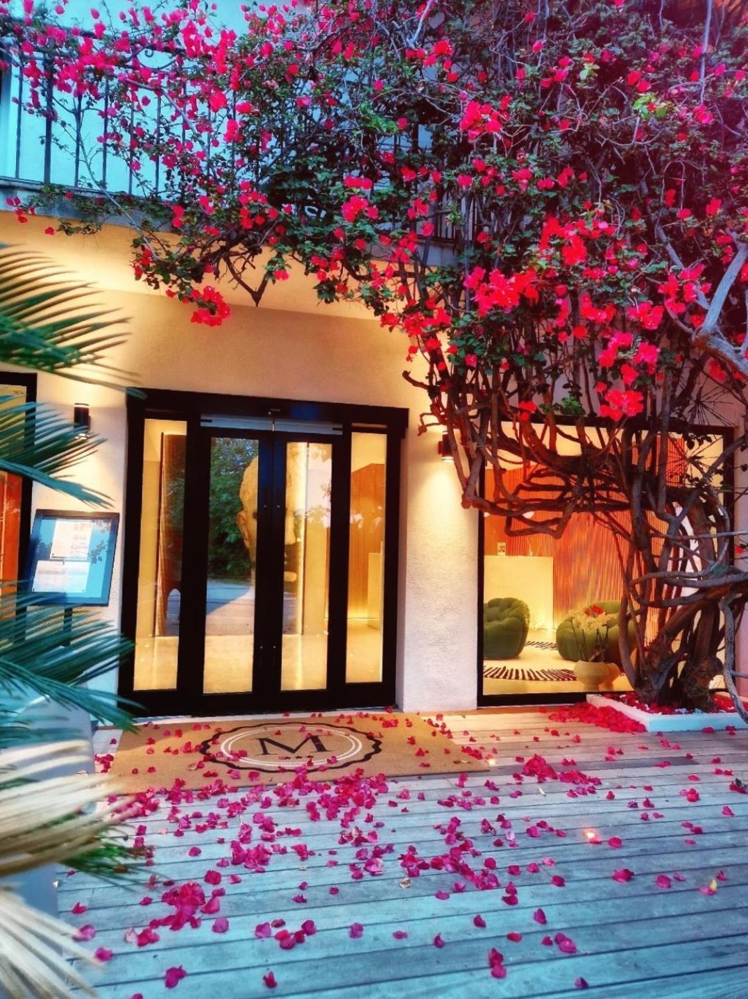 Hotel Le Mistral Porto-Vecchio  Ngoại thất bức ảnh